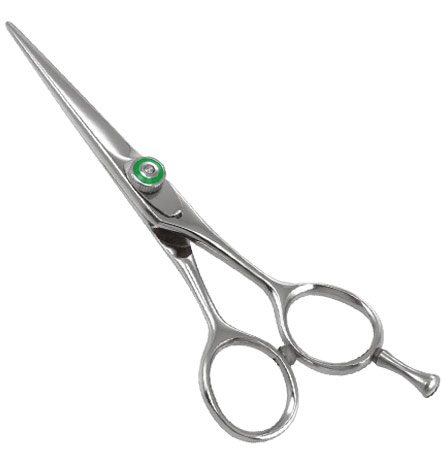 Professional Razor Eadge Shears