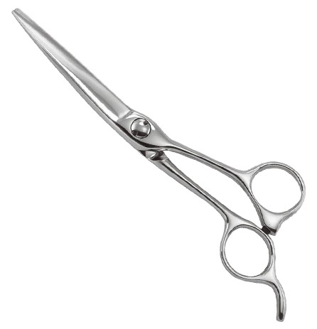 Professional Razor Eadge Shears