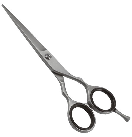 Professional Razor Eadge Shears