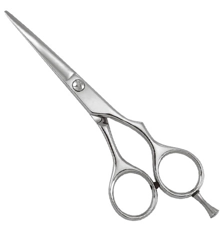 Professional Razor Eadge Shears