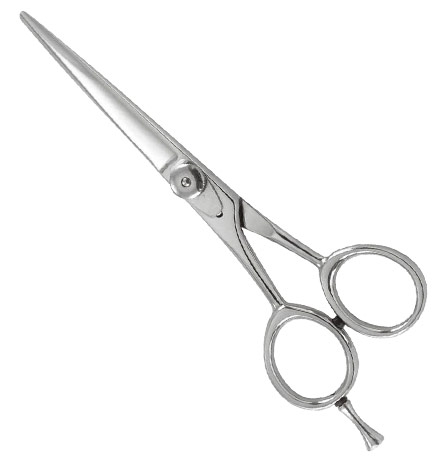 Professional Razor Eadge Shears