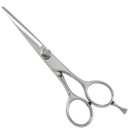 Professional Razor Eadge Shears