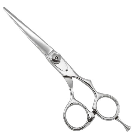 Professional Razor Eadge Shears