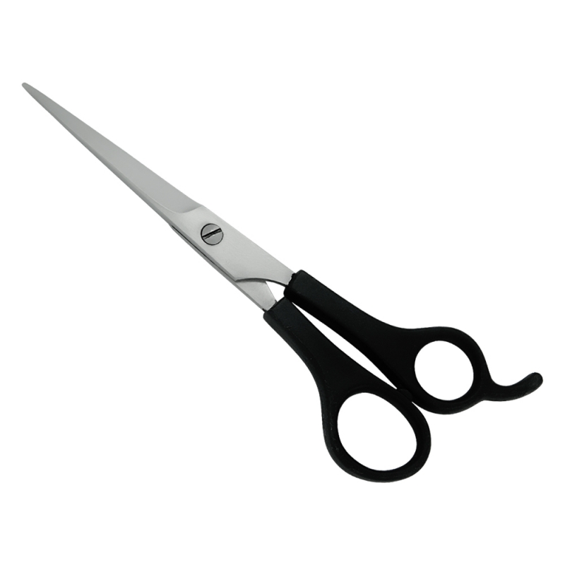 PLASTIC HANDLE SCISSORS