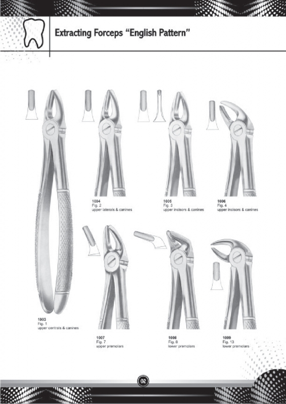 Extracting Forceps 