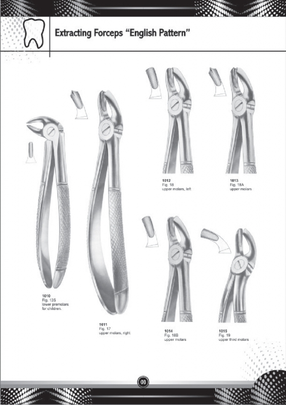 Extracting Forceps 