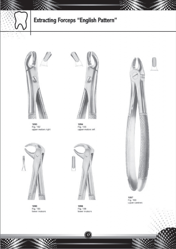 Extracting Forceps English Pattern