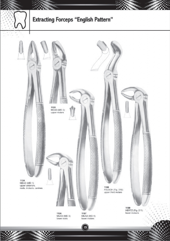 Extracting Forceps English Pattern