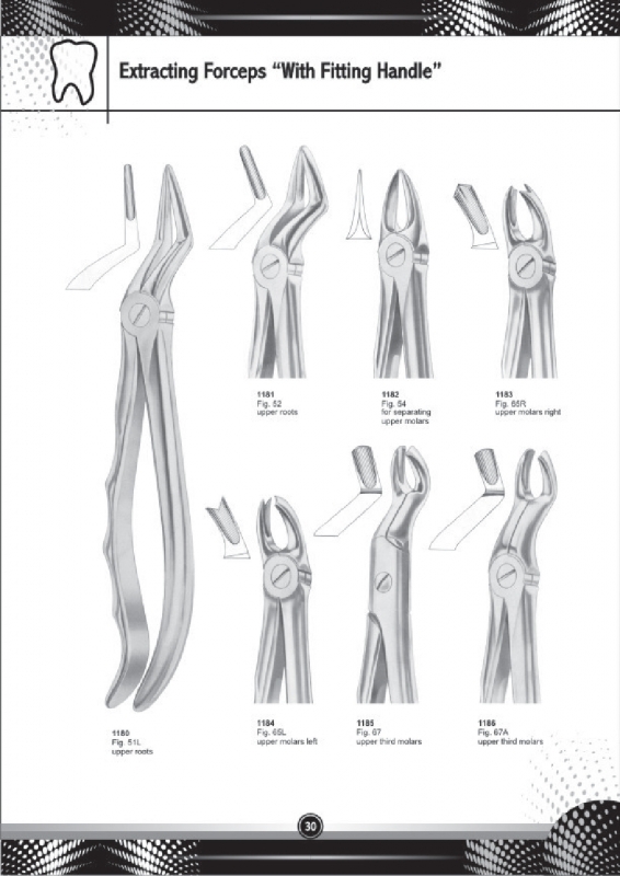 Extracting Forceps With Fitting Handle