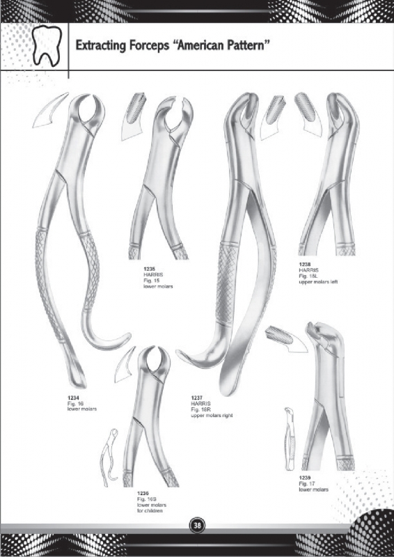 Extracting Forceps American Pattern