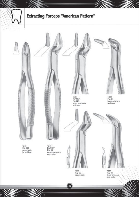 Extracting Forceps American Pattern