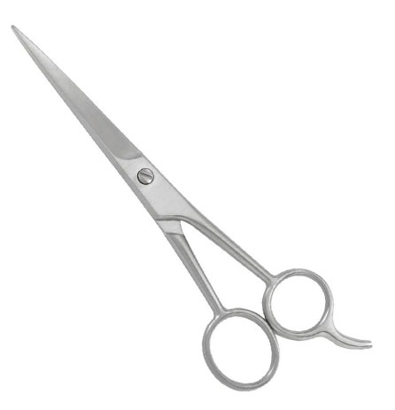 PROFESSIONAL HAIR CUTTING SHEARS