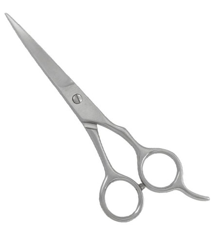 Professional Hair Cutting Shears