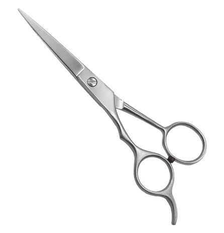 Professional Hair Cutting Shears