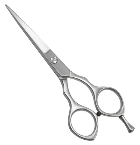 Professional Hair Cutting Shears